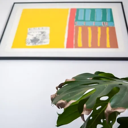 شقة Chiara Lovely *